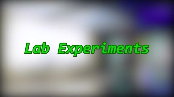 Lab Experiments - Rule 34 Porn