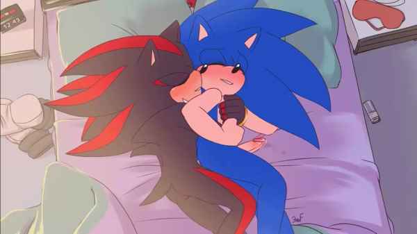 Sonic And Shadow Porn - Sonic X Shadow Fucking On Bed - Rule 34 Porn