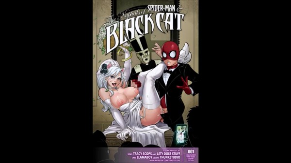 Black Cat Spider Man Porn - The Nuptials of Spider-Man & Black Cat Comic Dub - Rule 34 Porn
